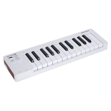 Controlador Arturia Microlab Mk3 25 Teclas White